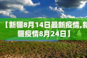 【新疆8月14日最新疫情,新疆疫情8月24日】