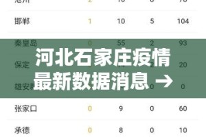 武汉新增4例阳性—（武汉出现4例新增病例）