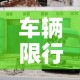 车辆限行取消 → 限行怎么取消
