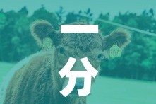 房卡必备教程“微信牛牛怎么创建房间”链接房卡在哪里获取