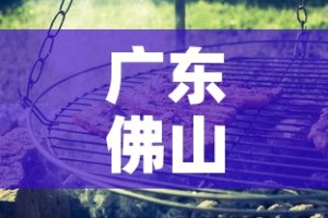 玩家必备教程“狂飙大厅牛牛金花房卡”房卡获取方式