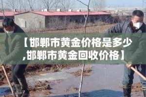 【邯郸市黄金价格是多少,邯郸市黄金回收价格】