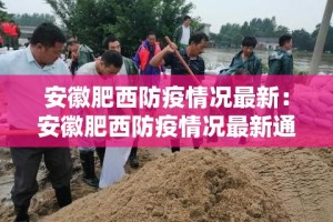 安徽肥西防疫情况最新：安徽肥西防疫情况最新通报