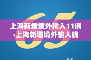 上海新增境外输入11例›上海新增境外输入确诊2例