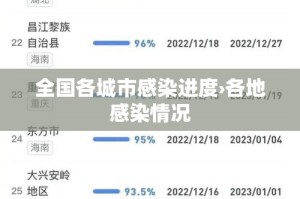 全国各城市感染进度›各地感染情况