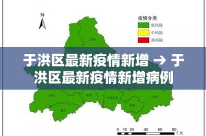 于洪区最新疫情新增 → 于洪区最新疫情新增病例
