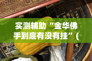 实测辅助“金华佛手到底有没有挂”(透视)其实确实有挂