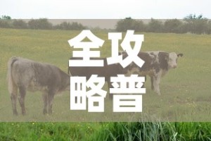 全攻略普及“微信牛牛群房卡”房卡获取方式
