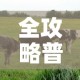 全攻略普及“微信牛牛群房卡”房卡获取方式