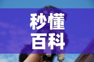 今天本土疫情最新情况—（今日疫情本地新增几例）