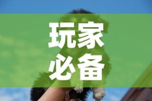 一分钟了解“女娲大厅房卡哪里买”轻松获取房卡全渠道