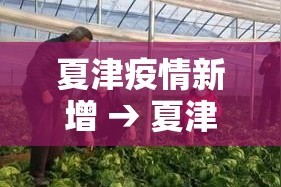 夏津疫情新增 → 夏津县疫情风险等级