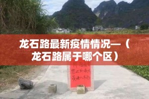龙石路最新疫情情况—（龙石路属于哪个区）