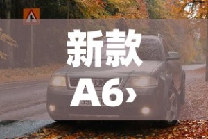 玩家攻略“狂飙大厅牛牛金花房卡”获取房卡教程-哔哩哔哩