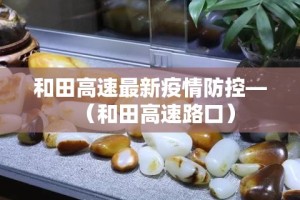 和田高速最新疫情防控—（和田高速路口）