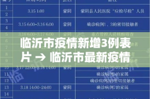 临沂市疫情新增3例表片 → 临沂市最新疫情报道