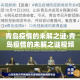 青岛疫情的未解之谜›青岛疫情的未解之谜视频