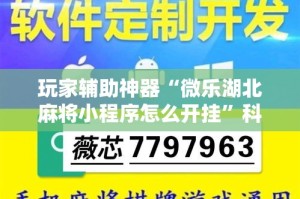 玩家辅助神器“微乐湖北麻将小程序怎么开挂”科技辅助神器手机版