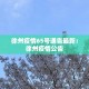 【德凤生鲜超市最新疫情,德凤生鲜超市在哪个位置】
