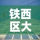 铁西区大型镍基合金价格—（镍铁合金厂家）