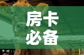 房卡必备教程“微信牛牛群斗牛群”详细房卡教程