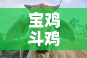 分享实测“微信链接斗牛技巧规律”购买房卡介绍