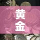 玩家攻略“微信炸 金花链接房卡购买”获取房卡教程-哔哩哔哩