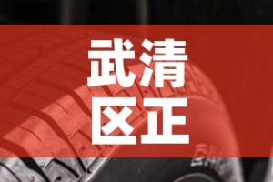 武清区正规耐蚀合金价格：耐磨耐蚀合金
