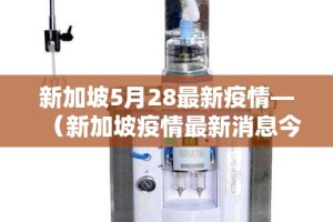 新加坡5月28最新疫情—（新加坡疫情最新消息今天新增4月17日）