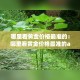 分享实测“牛牛房卡链接购买”详细房卡怎么购买教程