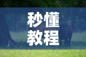 秒懂教程“微信牛牛群斗牛群”获取房卡教程-哔哩哔哩