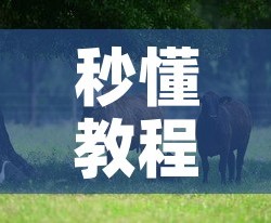 秒懂教程“微信牛牛群斗牛群”获取房卡教程-哔哩哔哩