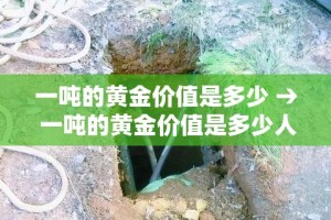 一吨的黄金价值是多少 → 一吨的黄金价值是多少人民币