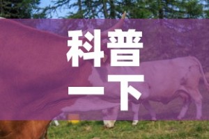 科普一下“微信牛牛群房卡怎么弄”房卡使用教程