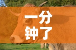 一分钟了解“微信斗牛房卡如何购买”购买房卡介绍