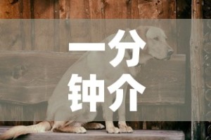 一分钟介绍使用“微信斗牛房卡购买渠道”房卡详细充值