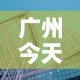 广州今天金价今天铂金价—（广州金价今天什么价格查询）
