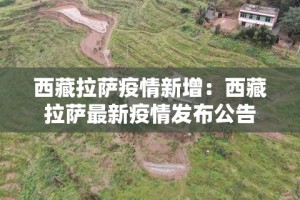 全攻略普及“新蓝鲸拼三张房间卡”链接房卡在哪里获取