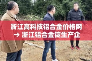 浙江高科技铝合金价格网 → 浙江铝合金锭生产企业