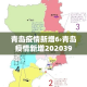 青岛疫情新增6›青岛疫情新增202039