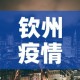 钦州疫情风险地区最新 → 钦州的疫情
