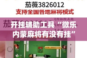 开挂辅助工具“微乐内蒙麻将有没有挂”(透视)其实确实有挂