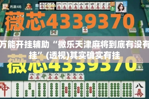 万能开挂辅助“微乐天津麻将到底有没有挂”(透视)其实确实有挂