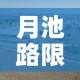 月池路限行：月池路在哪里