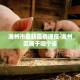 哈尔滨疫情最新情况›哈尔滨疫情最新情况