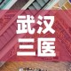 武汉三医院最新疫情情况 → 武汉三医院在哪里?