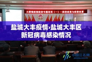 盐城大丰疫情›盐城大丰区新冠病毒感染情况