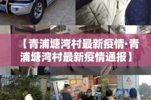 【青浦塘湾村最新疫情·青浦塘湾村最新疫情通报】