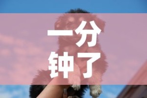 一分钟了解“斗牛房卡牛牛房卡”详细房卡怎么购买教程