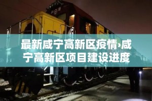最新咸宁高新区疫情›咸宁高新区项目建设进度